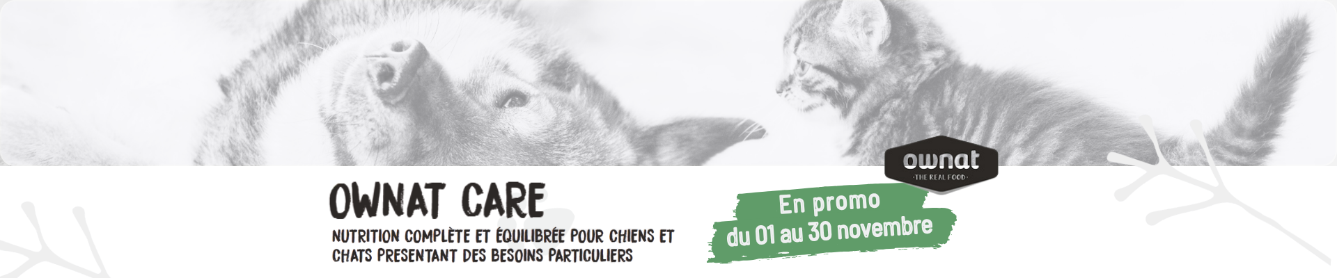 Bannière promotion sur la gamme Ownat Care chat et chien
