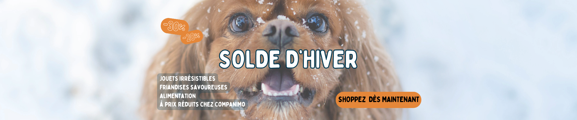 Bannière promotions Soldes hiver 2026