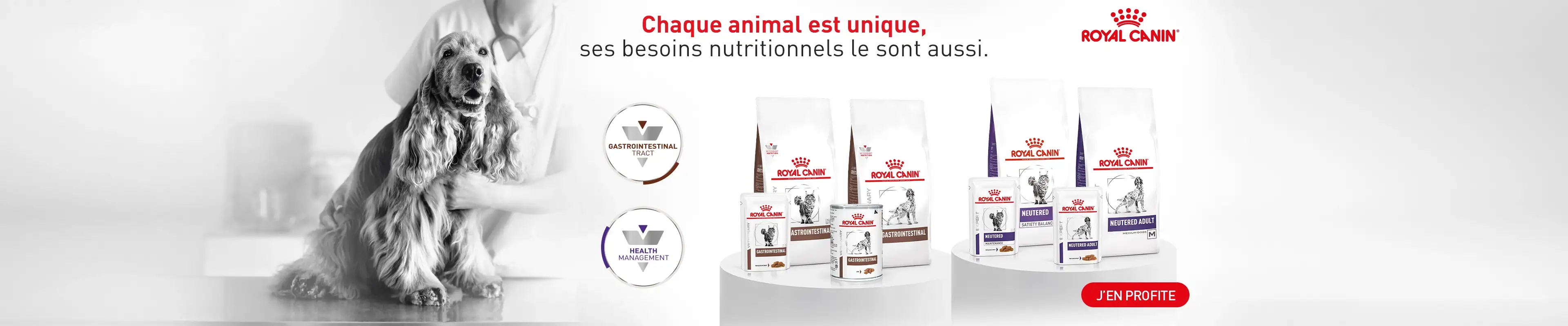 Bannière présentation gamme gastrointestinale Royal Canin