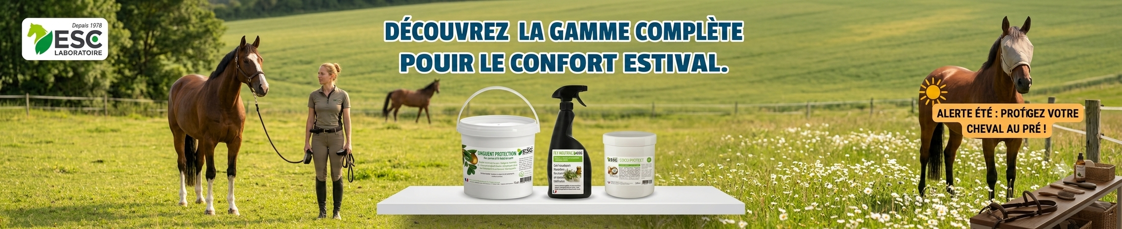 Bannière présentation confort estival ESC