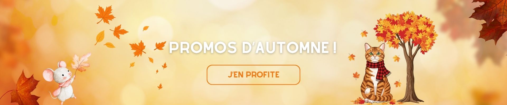Bannière Promos Autumne