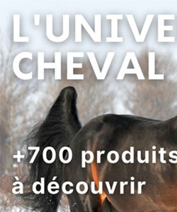 Arrivée de l'Univers Cheval sur Companimo
