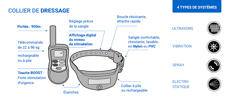 Image décrivant les 4 systèmes de colliers de dressage