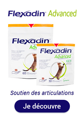 Flexadin advanced, complément pour chat