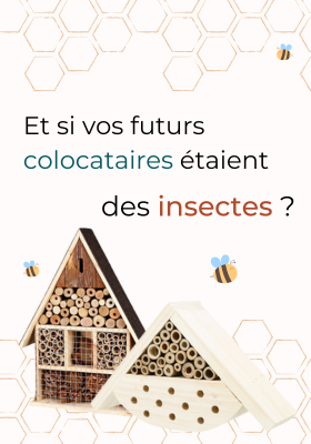 Mise en avant hôtels à insectes