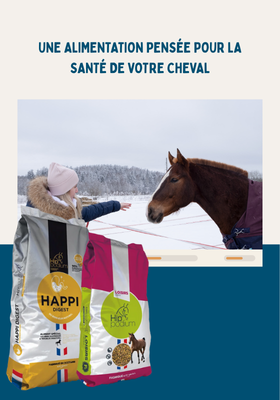 Compl&eacute;ment nutritionnel pour cheval