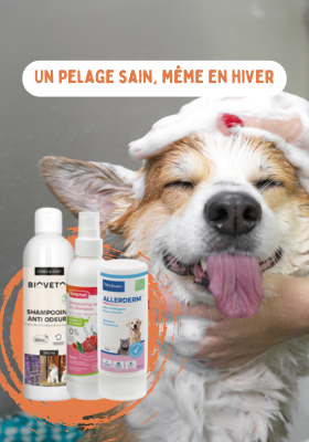 Produits toilettage Chien