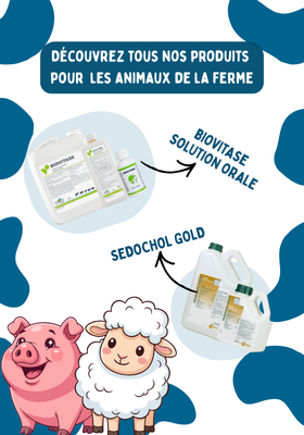 Mise en avant animaux de la ferme