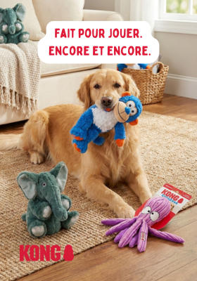 Jouets Kong Chien