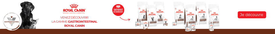 Gamme Gastrointestinal Royal Canin