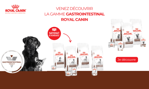 Gamme Gastrointestinal Royal Canin