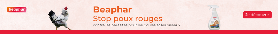 Offre stop poux beaphar