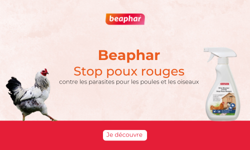 Offre stop poux beaphar