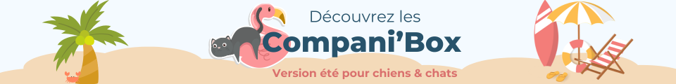 Companibox version été pour chats et chiens