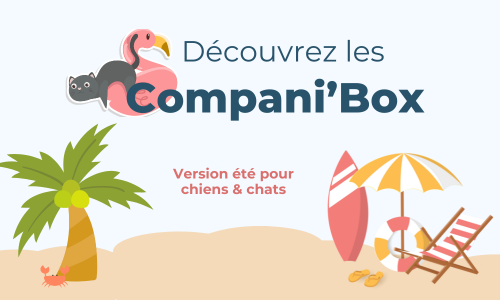 Companibox version été pour chats et chiens