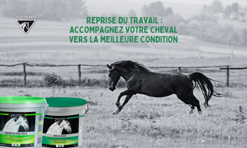 Les deux produits essentiels Equistro pour la reprise du travail