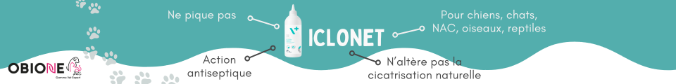 Iclonet en promo, solution antiseptique pour la gestion des petites plaies cutanées