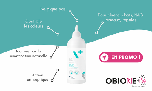 Iclonet en promo, solution antiseptique pour la gestion des petites plaies cutanées