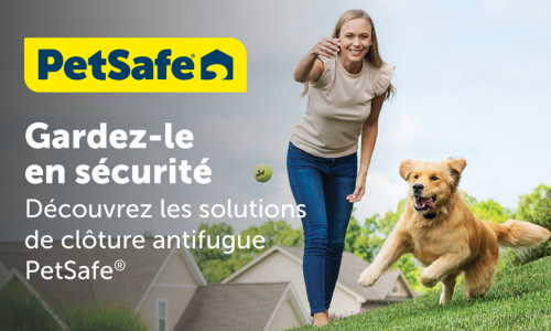 IClôture antifugue PETSAFE en promo