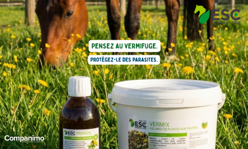 ESC Laboratoire Parasyl, vermifuge naturel à base de teintures mère pour traiter les parasites intestinaux du cheval.