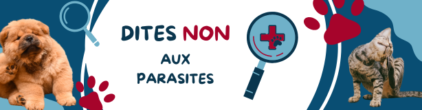 Produits contre les parasites