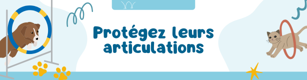 Produits pour soulager l'arthrose