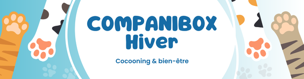 Les Companibox hiver pour chaton, chat, chiot et chien