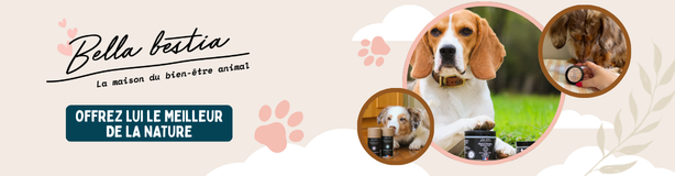 Bella Bestia, des produits naturels et fabriqués en France pour chat et chien