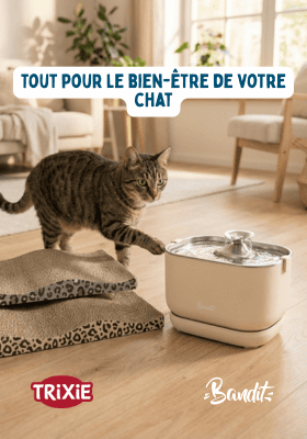 Mise en avant des fontaines à eau Bandit