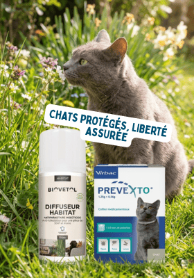 antiparasitaires Biovétol chat