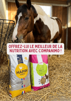 Compl&eacute;ment nutritionnel pour cheval