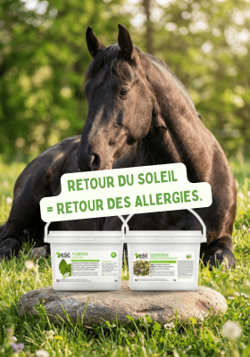 Complément  alimentaire cheval
