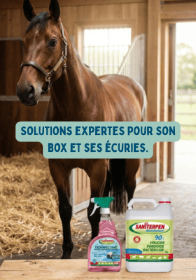 Hygiène des l'habitat des chevaux
