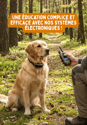 Localisez votre chien
