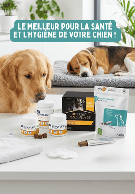Produits santé pour chien