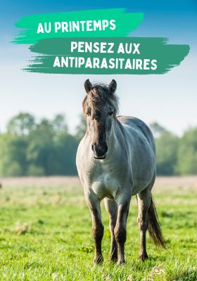 antiparasitaires cheval