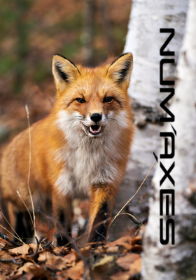 Pièges photographiques Num'axes