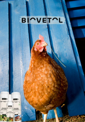Prendre soin de ses poules avec Biovetol