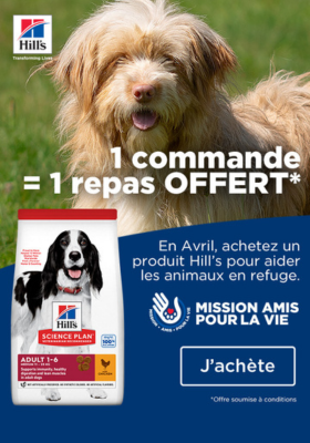 Hill's Mission amis pour la vie
