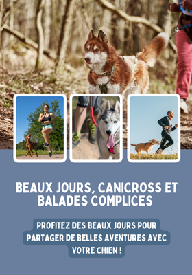 Promos accessoires promenade