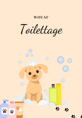 Découvrez tous nos shampoings pour chien