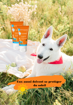 crème solaire pour chien et chat
