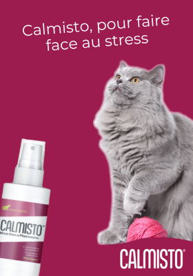 Calmisto pour appaiser les chats