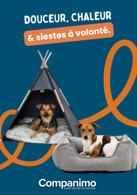 Nos paniers, coussins, plaids pour chien
