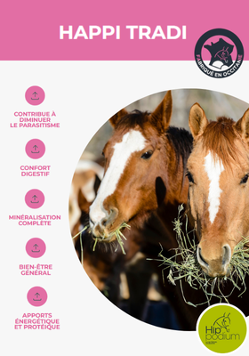 Complément nutritionnel pour cheval