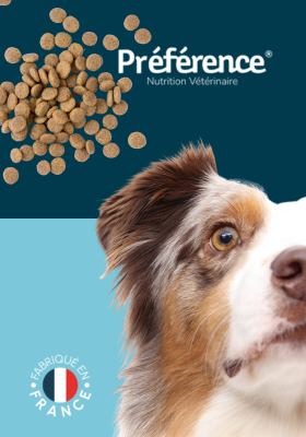 Croquette Préférence pour chien