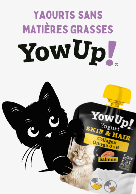 Yaourts sans matières grasses
