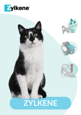 Zylkene pour appaiser les chats