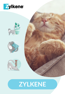 Zylkene pour chat, complément alimentaire pour apaiser l'animal.
