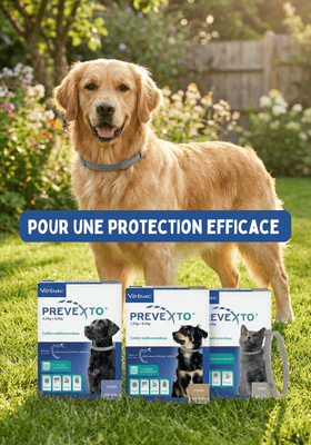Produits antiparasitaires naturels Biovétol